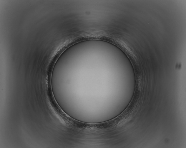 X0000091710634200708240957