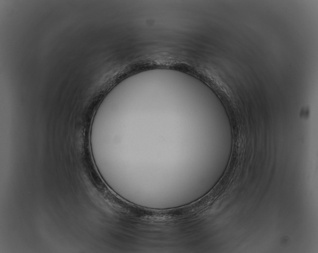X0000091710639200708240957