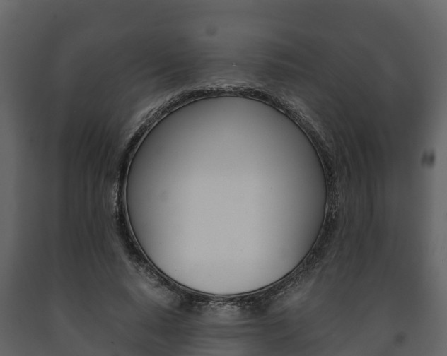 X0000091710640200708240957