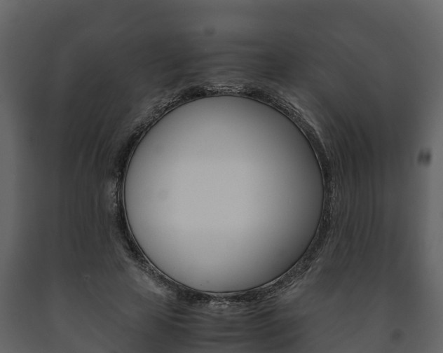 X0000091710641200708240957