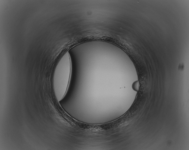 X0000091710642200708240957