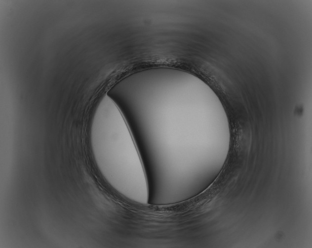 X0000091710643200708240957