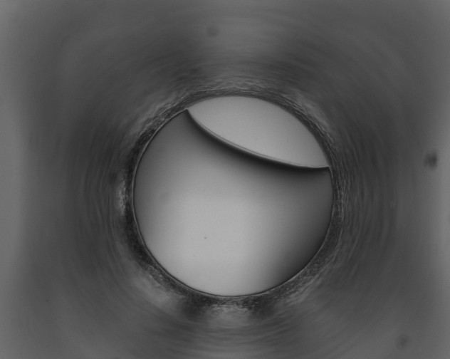 X0000091710644200708240957