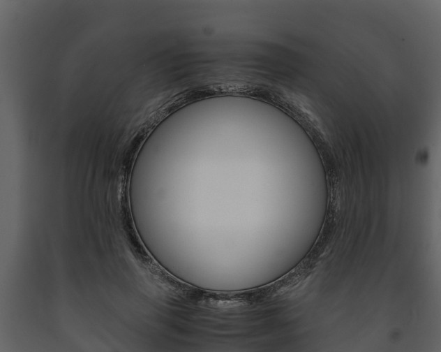 X0000091710645200708240957