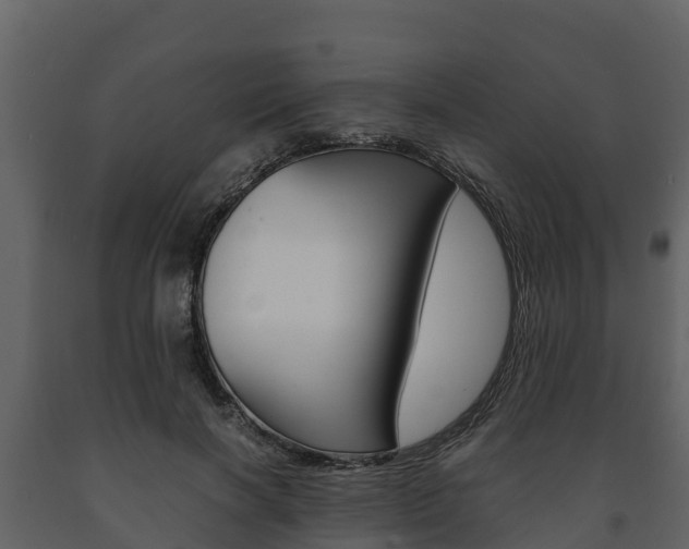 X0000091710646200708240957