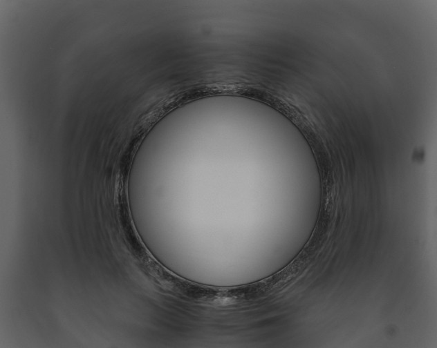 X0000091710647200708240957