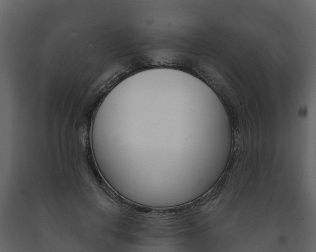 X0000091710648200708240957
