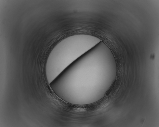 X0000091710649200708240957