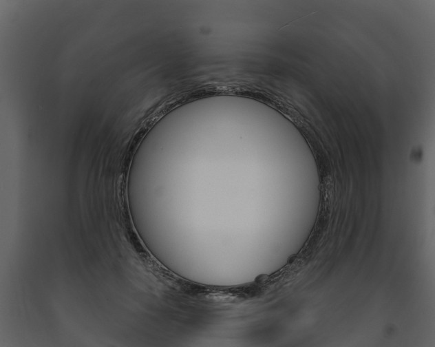 X0000091710650200708240957
