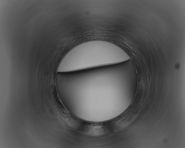X0000091710651200708240957