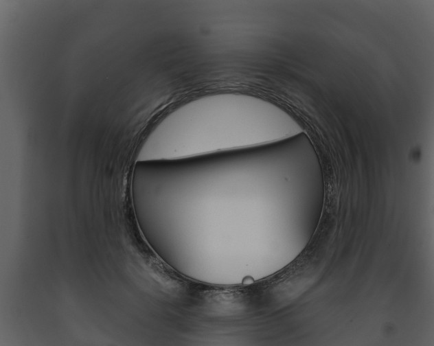 X0000091710652200708240957