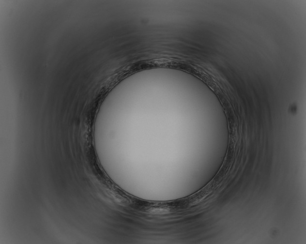 X0000091710653200708240957