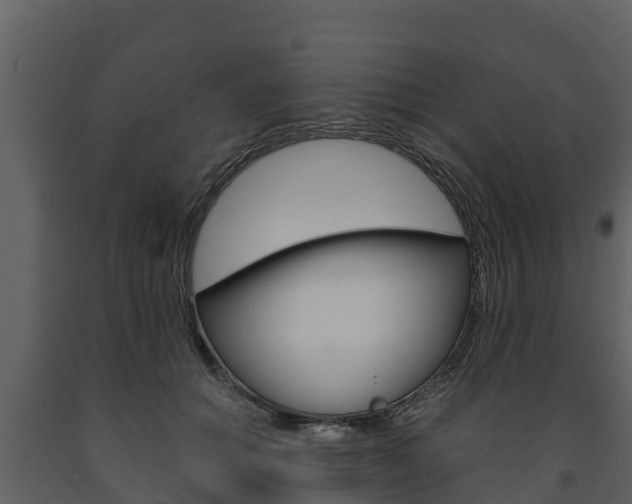 X0000091710654200708240957