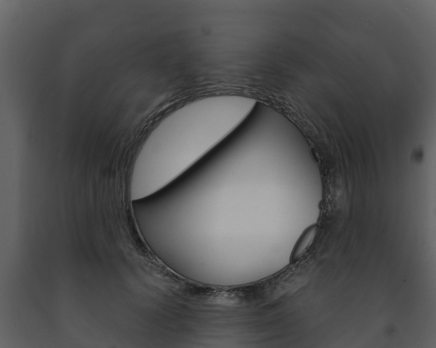 X0000091710656200708240958