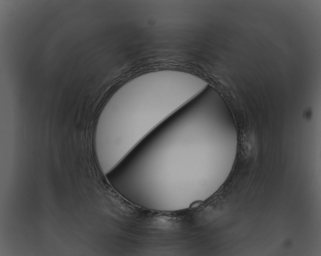 X0000091710657200708240958