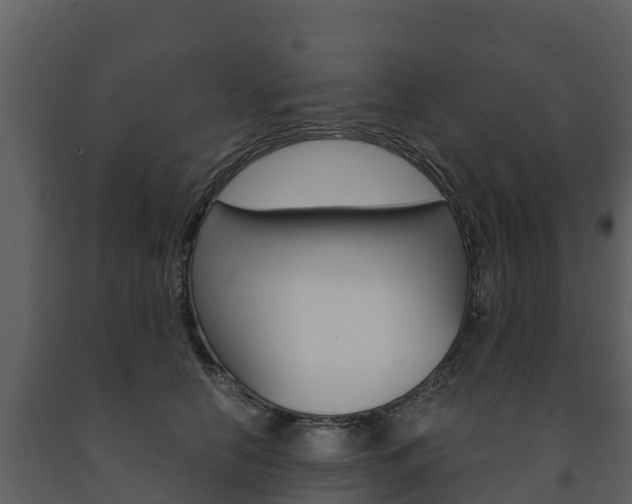 X0000091710658200708240958