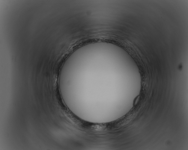 X0000091710660200708240958
