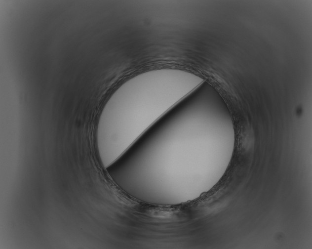 X0000091710661200708240958