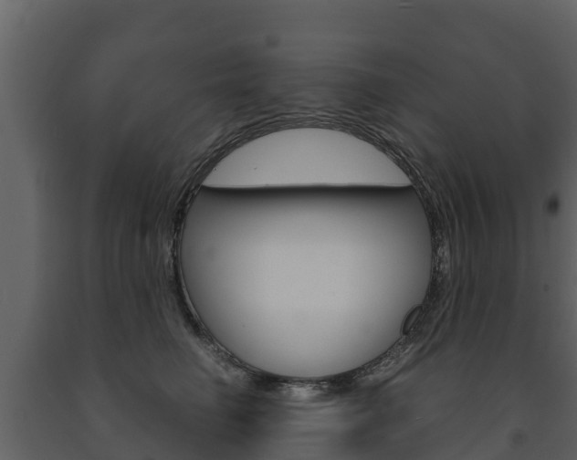 X0000091710662200708240958