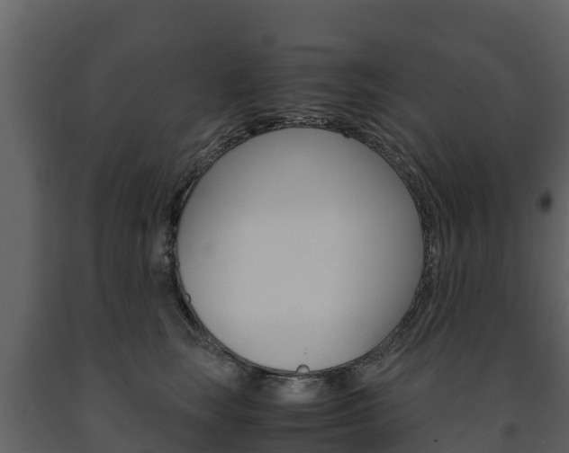 X0000091710663200708240958