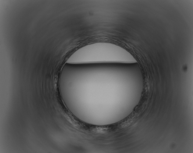 X0000091710664200708240958