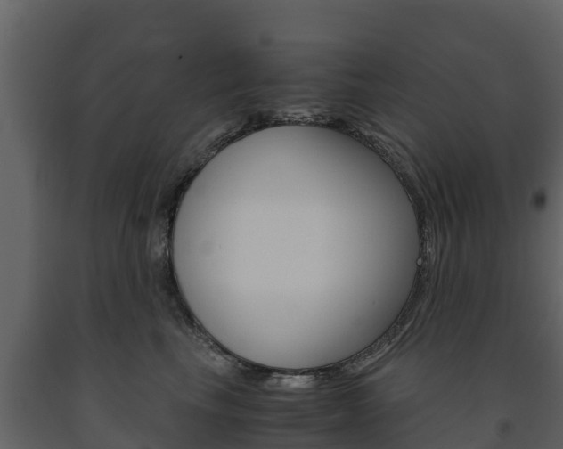 X0000091710665200708240958