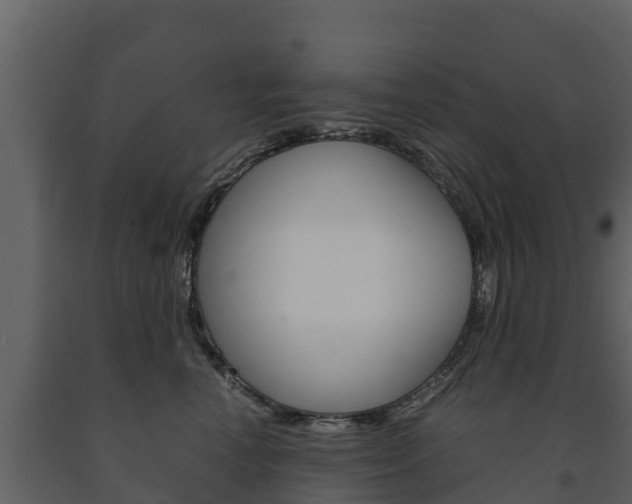 X0000091710666200708240958