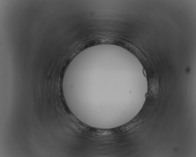 X0000091710667200708240958