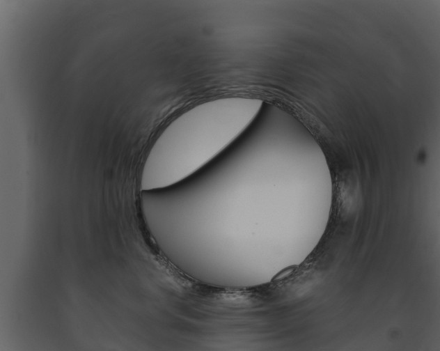 X0000091710668200708240958