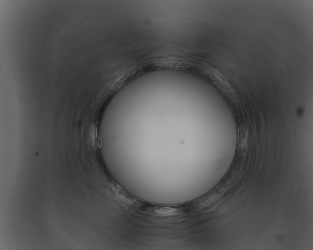 X0000091710669200708240958