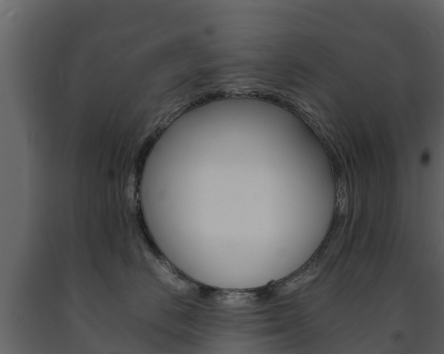 X0000091710670200708240958