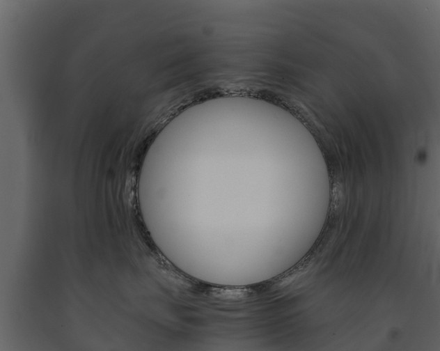 X0000091710671200708240958