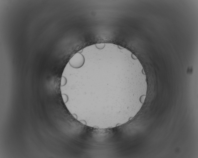 X0000091710672200708240958