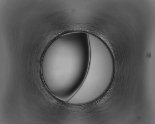X0000091710673200708240957
