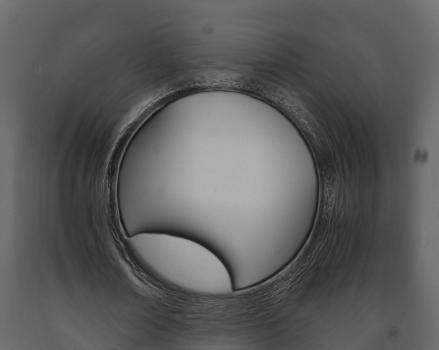 X0000091710674200708240957