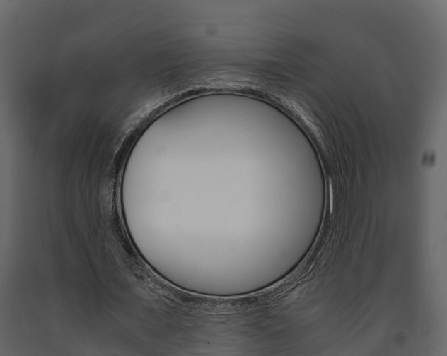 X0000091710675200708240957