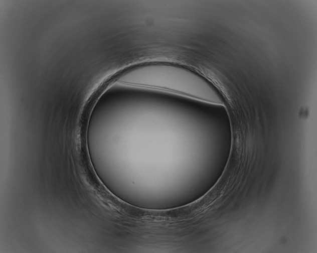 X0000091710676200708240957