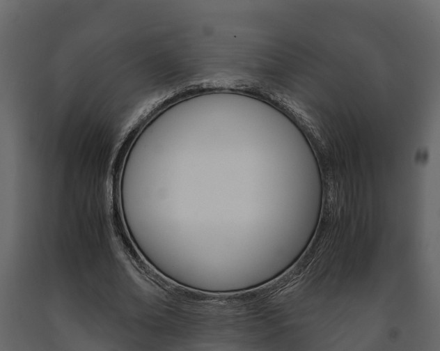X0000091710678200708240957