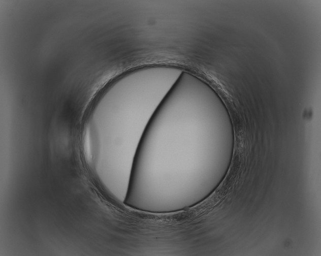 X0000091710679200708240957