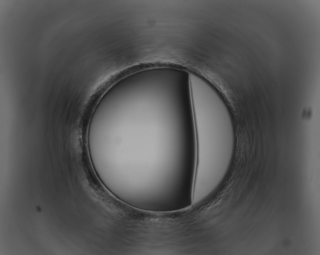 X0000091710680200708240957