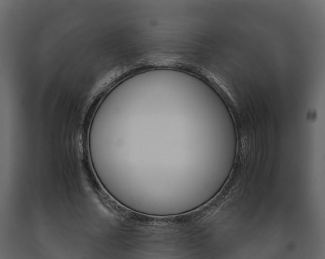 X0000091710682200708240957