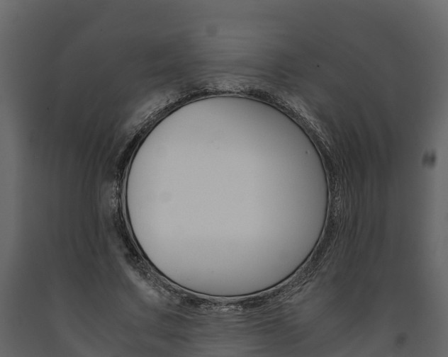 X0000091710683200708240957