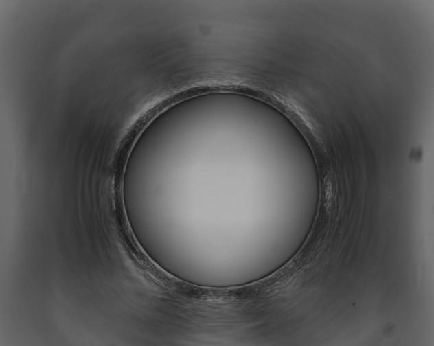 X0000091710684200708240957