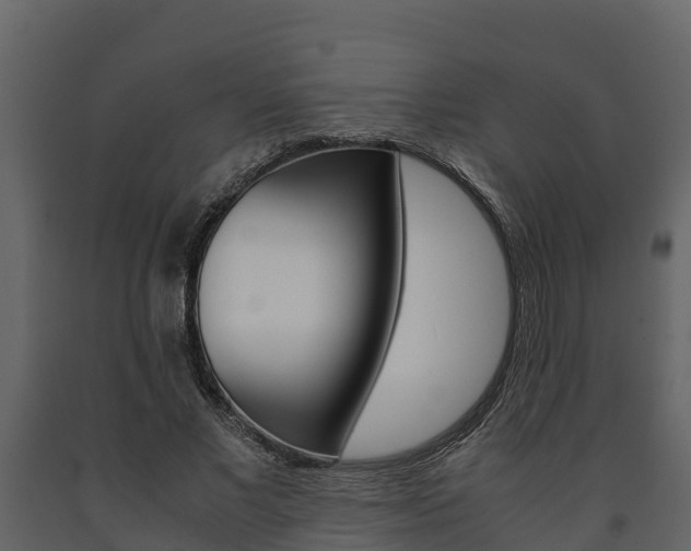 X0000091710685200708240957