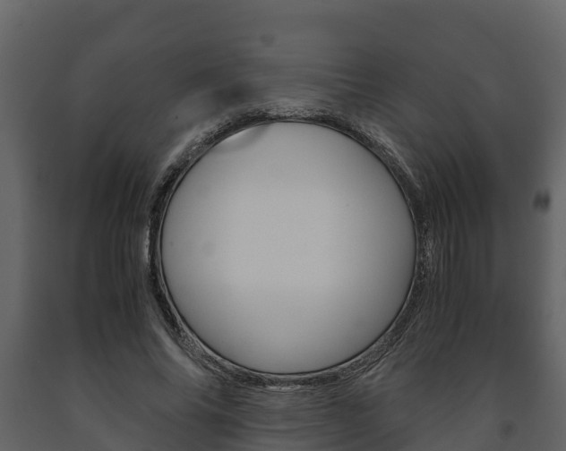 X0000091710686200708240957