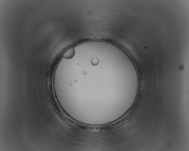 X0000091710687200708240957