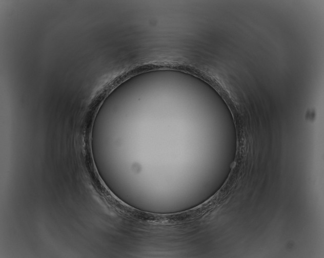 X0000091710688200708240957