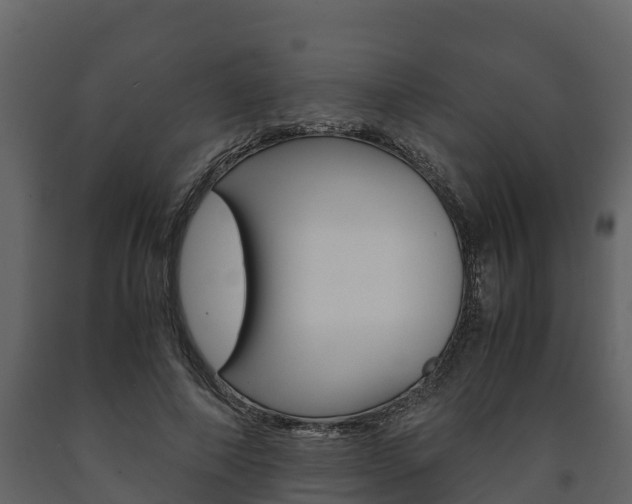 X0000091710690200708240957