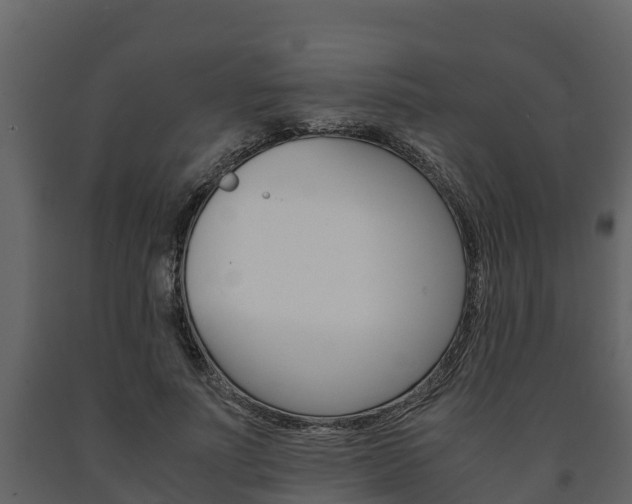 X0000091710691200708240957