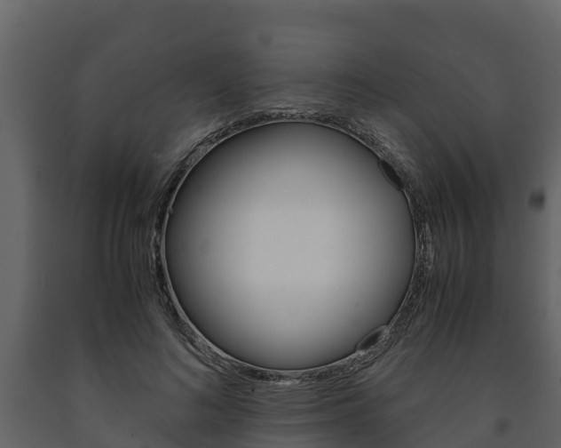 X0000091710692200708240957